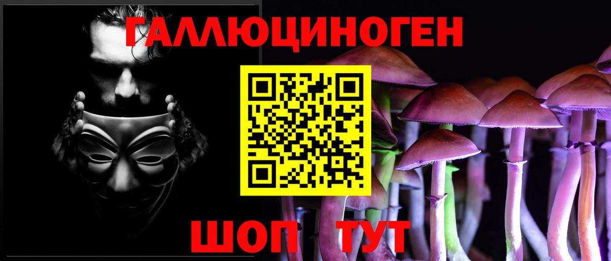 Галлюциногенные грибы Psilocybe Донской