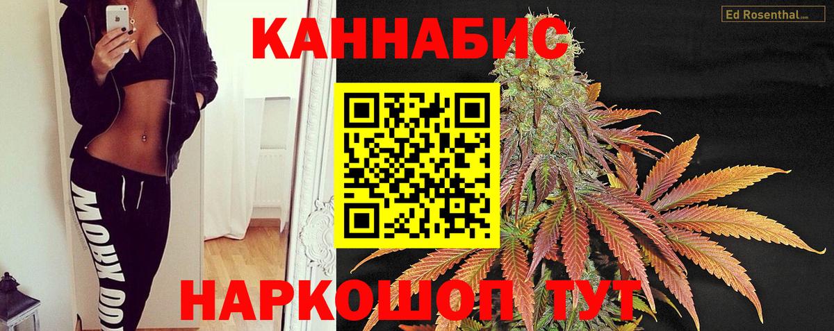 Бошки марихуана семена  Шишки марихуана конопля  Вход с VPN  Донской  Канабис семена 